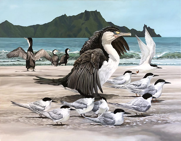 Craig Platt nz bird artist, waiting for the tide, Shaggs and Terns, oil on canvas
